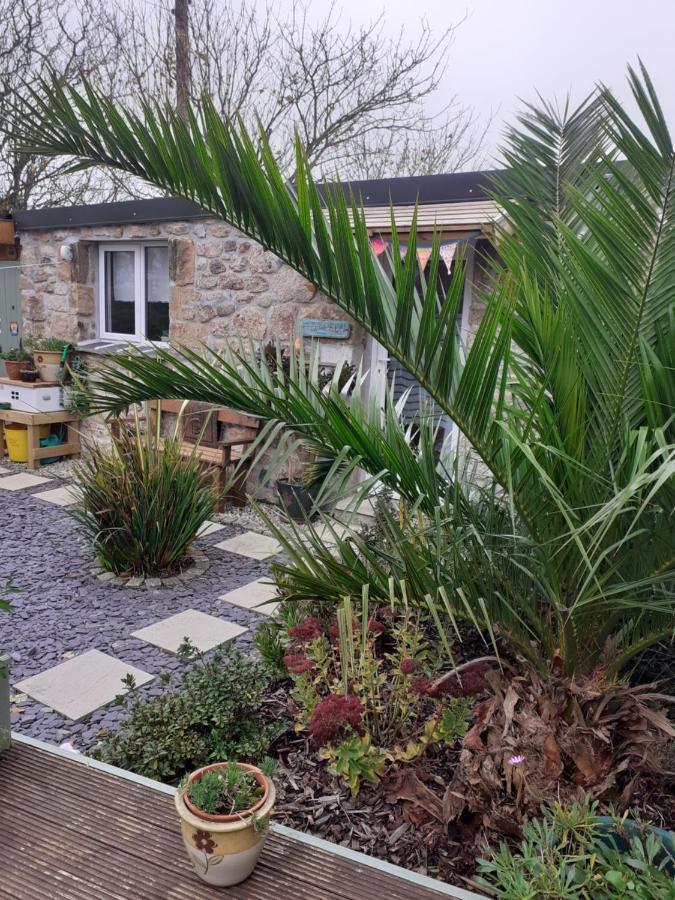 Little Pedn Apartment Penzance Luaran gambar